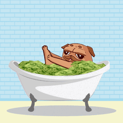 Pug In Money Bath Tub Meme GIF