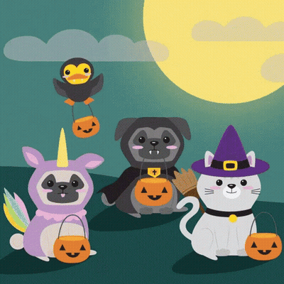 Pug In Unicorn Costume And Cat In Witch Costume Trick Or Treating GIF