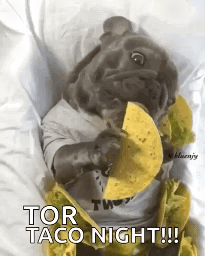 Pug Laying On Bed Eating Taco Saying Tor Taco Night GIF