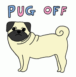 Pug Off Angry Dog GIF