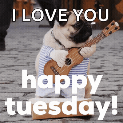 Pug Playing Ukulele I Love You Happy Tuesday GIF