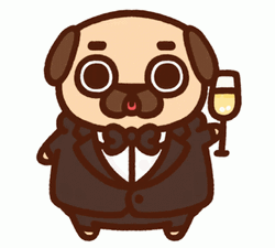 Pug Puglies Sassy Winking GIF