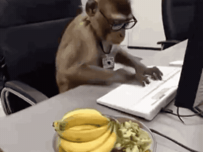 Pug Saying I'm A Workin Dawg GIF