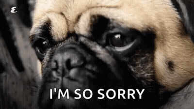 Pug Saying I'm So Sorry GIF