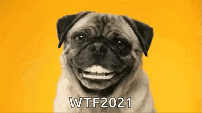 Pug Smiling Saying WTF 2021 GIF