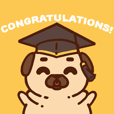 Pug Wearing Graduation Cap Congratulations GIF