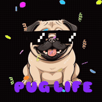 Pug Wearing Sunglasses Surrounded By Confetti Puglife GIF