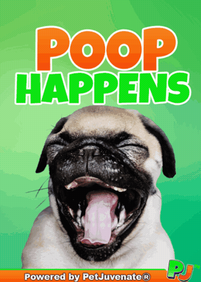 Pug With Mouth Open Poop Happens GIF