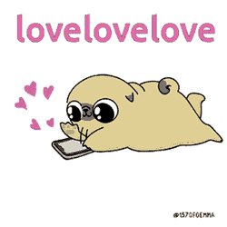 Puggy Pug Anime GIF