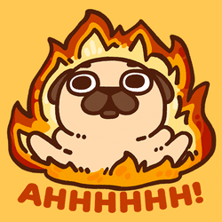 Puglie Dog GIF