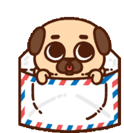 Puglie Pug Puglie Sticker GIF