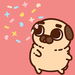 Puglie Pugs GIF