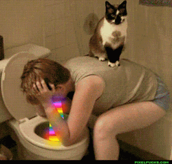 Puking Rainbow In The Toilet GIF