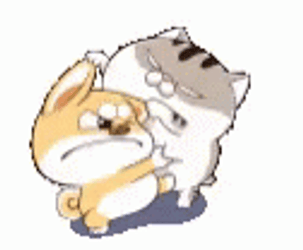Pulling Dog And Cat Fight GIF