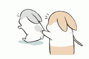 Pulling Machiko Rabbit GIF
