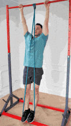 Pulling Up Body Weight GIF