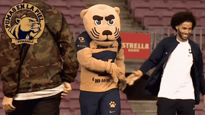 Pumas Logo On Jacket Back GIF