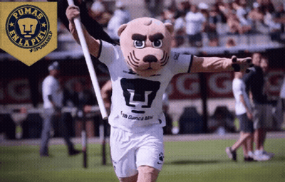 Pumas Mascot Holding Flag GIF