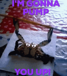 Pump You Up Crab Legs GIF