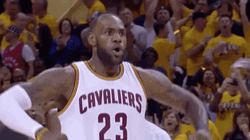 Pumped Lebron James NBA GIF