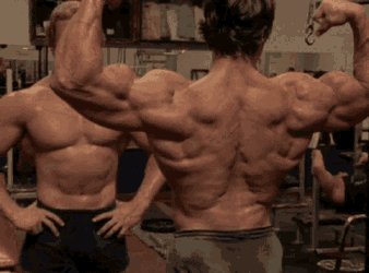Pumping Iron Arnold Schwarzenegger GIF