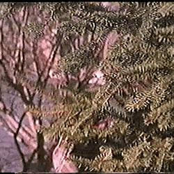Pumpkin Mascot Spy GIF