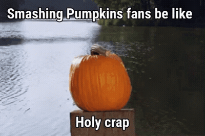 Pumpkin On Wooden Block Next To Water GIF