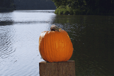 Pumpkin On Wooden Post By Lake GIF