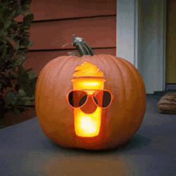 Pumpkin With Carved Psl Wearing Shades GIF