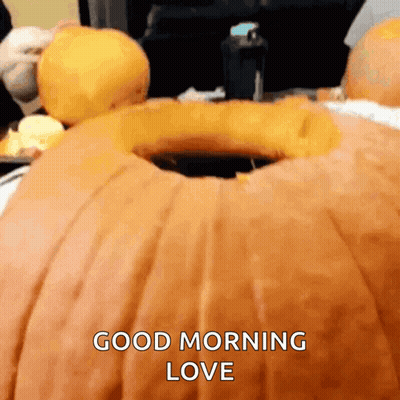 Pumpkin With Hole Saying Good Morning Love GIF