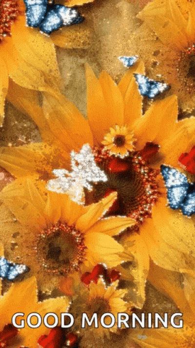 Pumpkins And Corn On The Cob With Bible Verse GIF