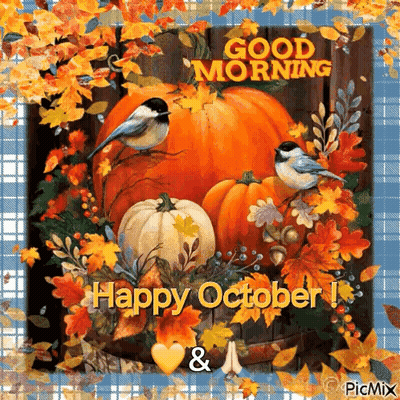 Pumpkins And Leaves Good Morning Happy October GIF