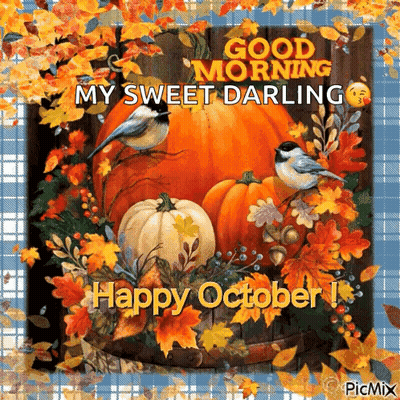 Pumpkins And Leaves Good Morning My Sweet Darling GIF