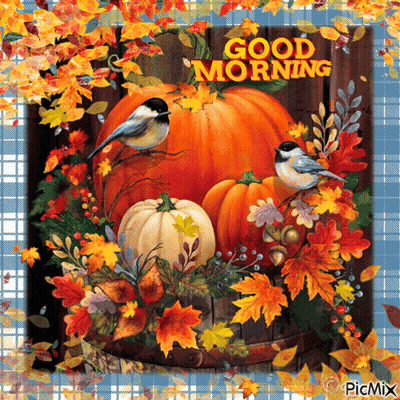 Pumpkins and Leaves Saying Good Morning
