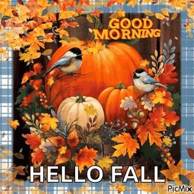 Pumpkins And Leaves Saying Good Morning Hello Fall GIF