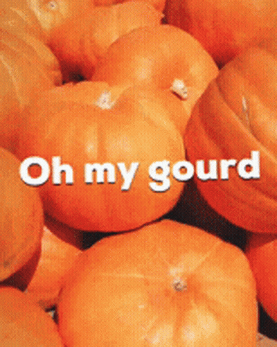 Pumpkins Saying Oh My Gourd GIF