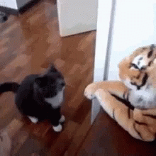 Punch In The Face Cat Stuffed Tiger Toy