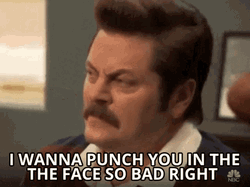 Punch In The Face Ron Swanson Parks And Recreation GIF