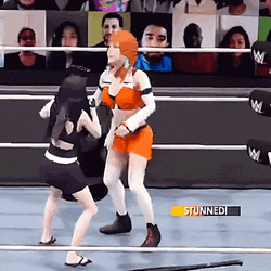 Punch In The Face WWE Video Game GIF