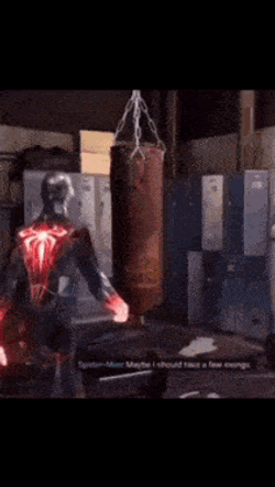 Punching Bag Boxing GIF