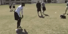 Punt GIF