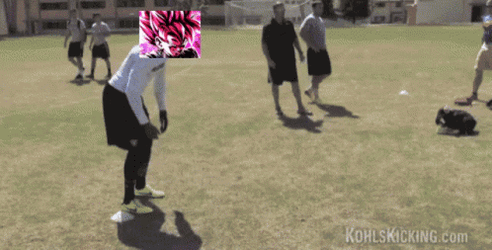 Punt High Kick GIF