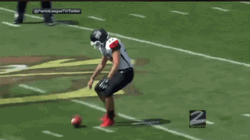 Punt Lowa Hawkeys GIF