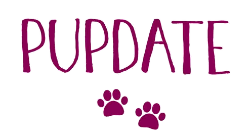 Pupdate Written In Purple Sticker