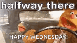 Puppet Driving Half Way There GIF
