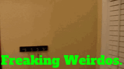 Puppet Freaking Weirdos GIF