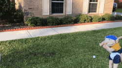 Puppet Hitter Baseball Bat GIF