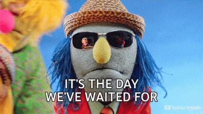 Puppet in Hat and Sunglasses Says It's the Day We've Waited For