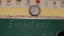 Puppet Lectures About Evolution GIF