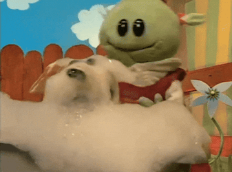 Puppet Nanalan' Dog Bath Time GIF